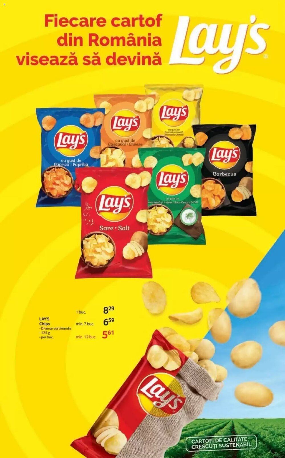 Catalogul cu oferte Selgros valabil de la 22.01.2026 - Pagina 13.