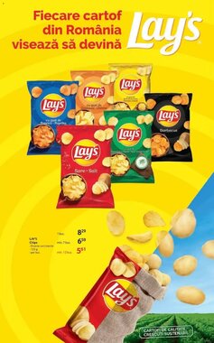 Catalogul cu oferte Selgros valabil de la 22.01.2026 - Pagina 13.