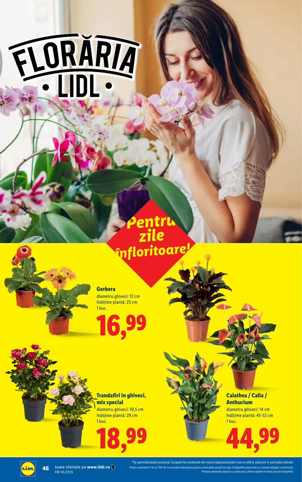 Catalogul cu oferte Lidl valabil de la 26.01.2026 - Pagina 46.