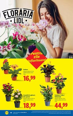 Catalogul cu oferte Lidl valabil de la 26.01.2026 - Pagina 46.