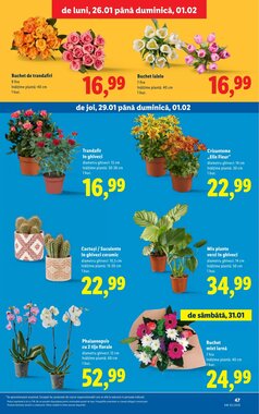 Catalogul cu oferte Lidl valabil de la 26.01.2026 - Pagina 47.