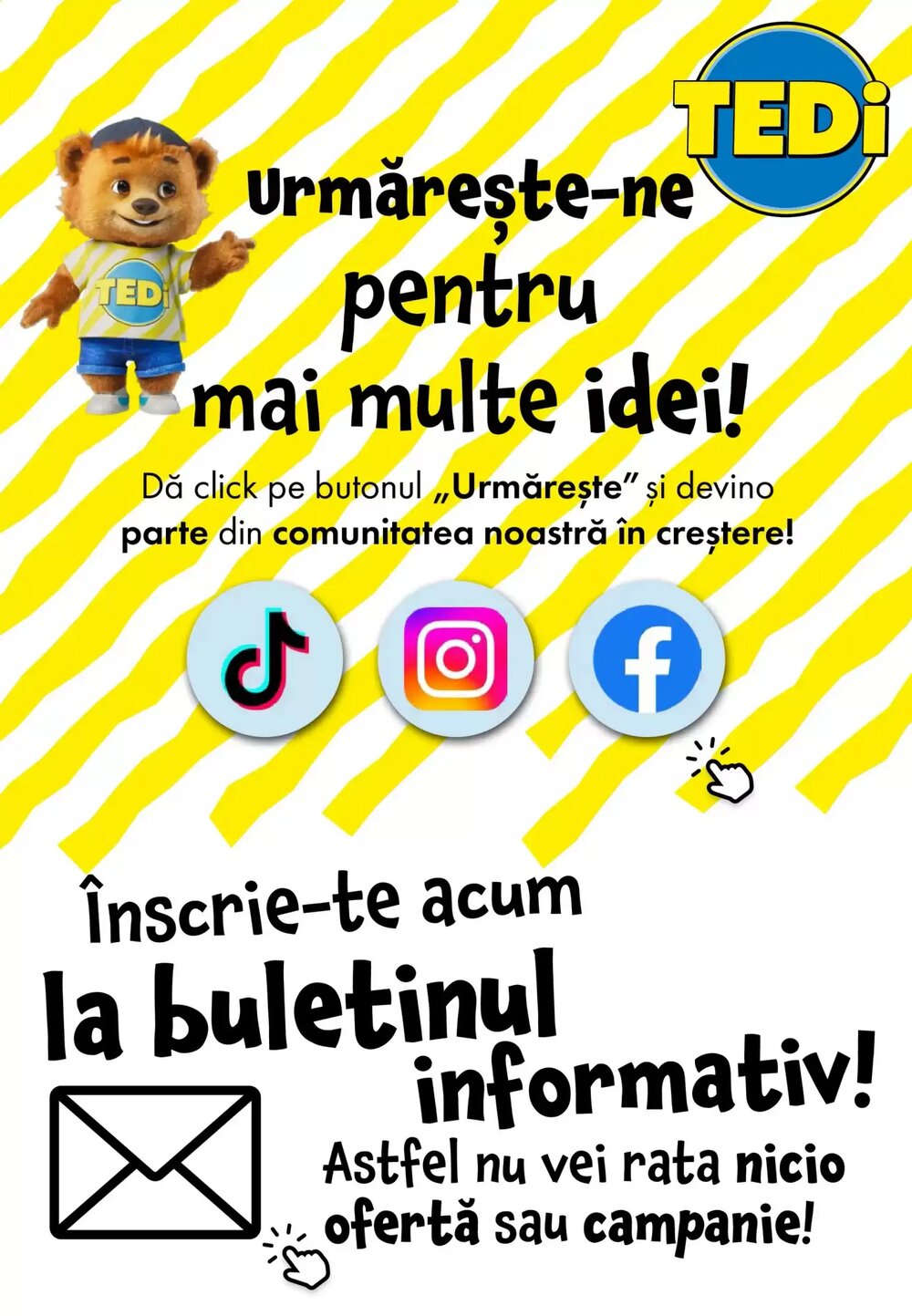 Catalogul cu oferte TEDI valabil de la 27.01.2026 - Pagina 12.