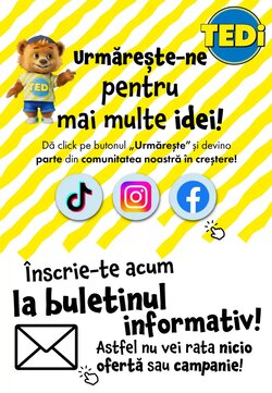 Catalogul cu oferte TEDI valabil de la 27.01.2026 - Pagina 12.