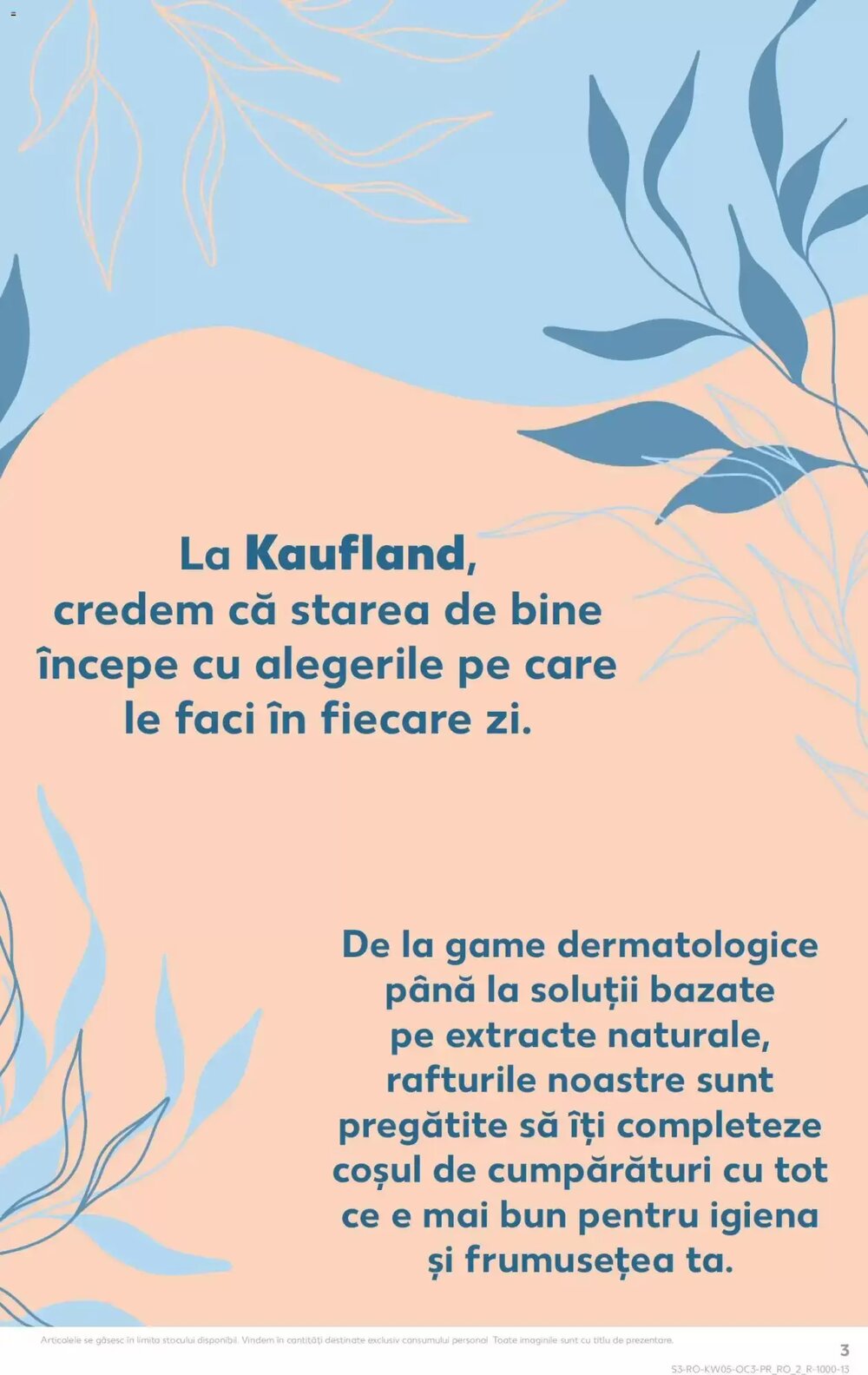 Catalogul cu oferte Kaufland valabil de la 27.01.2026 - Pagina 3.