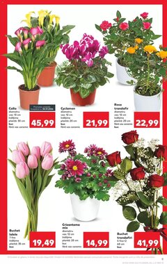 Catalogul cu oferte Kaufland valabil de la 28.01.2026 - Pagina 9.