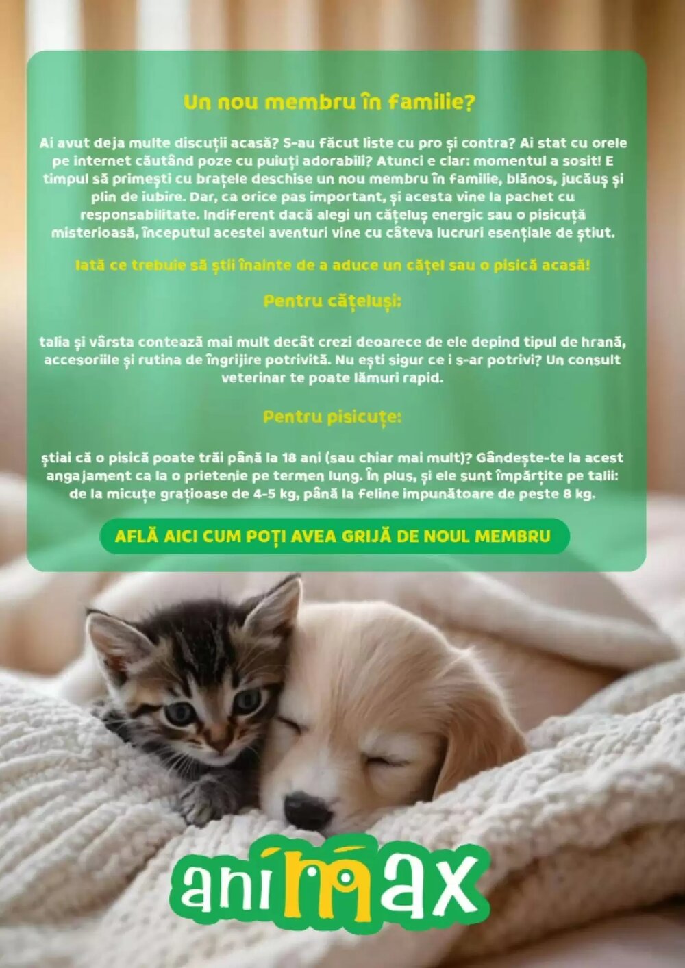 Catalogul cu oferte Animax valabil de la 02.02.2026 - Pagina 10.