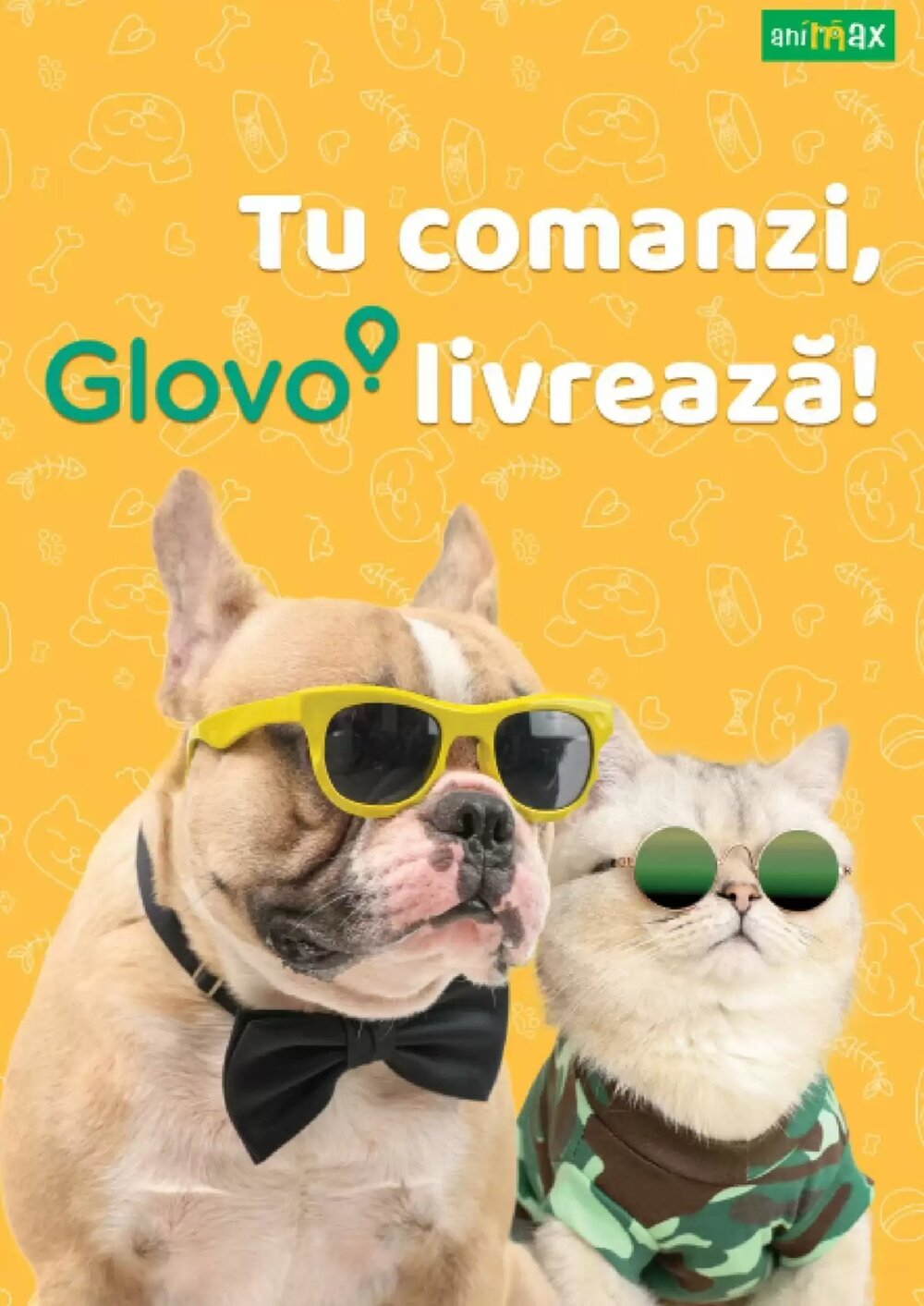 Catalogul cu oferte Animax valabil de la 02.02.2026 - Pagina 12.