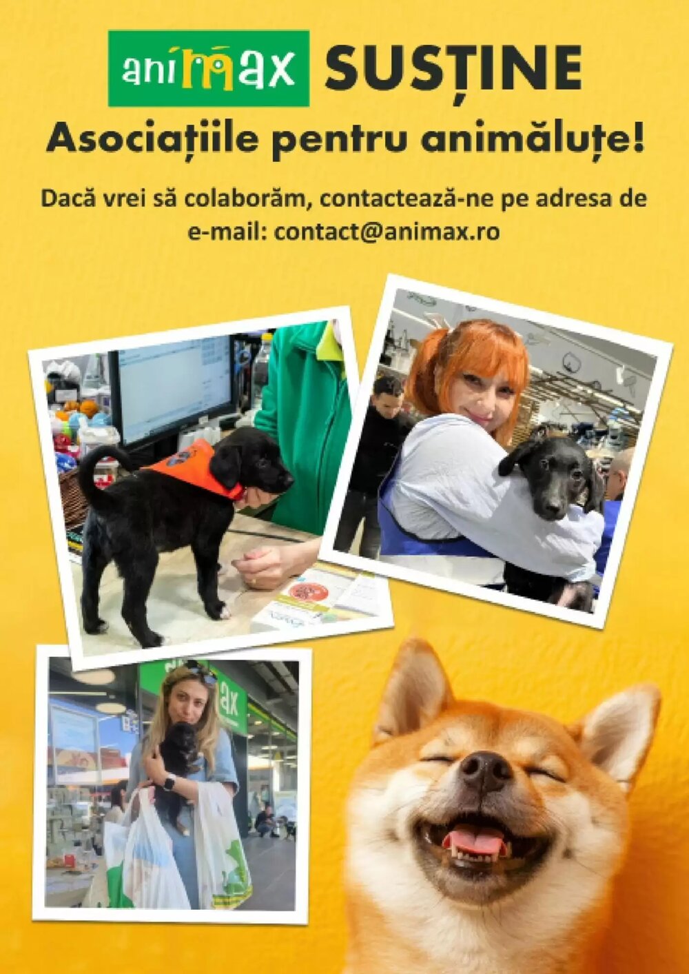 Catalogul cu oferte Animax valabil de la 02.02.2026 - Pagina 23.