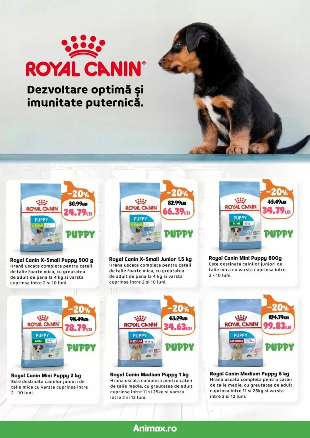 Catalogul cu oferte Animax valabil de la 02.02.2026 - Pagina 6.