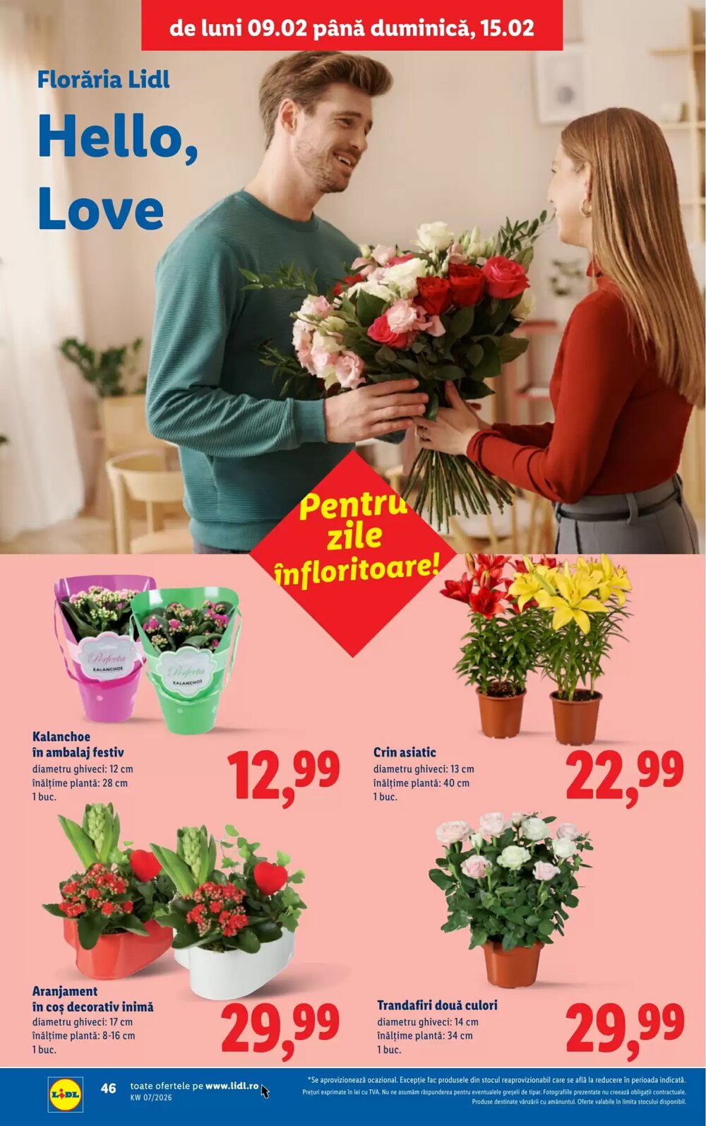 Catalogul cu oferte Lidl valabil de la 09.02.2026 - Pagina 46.