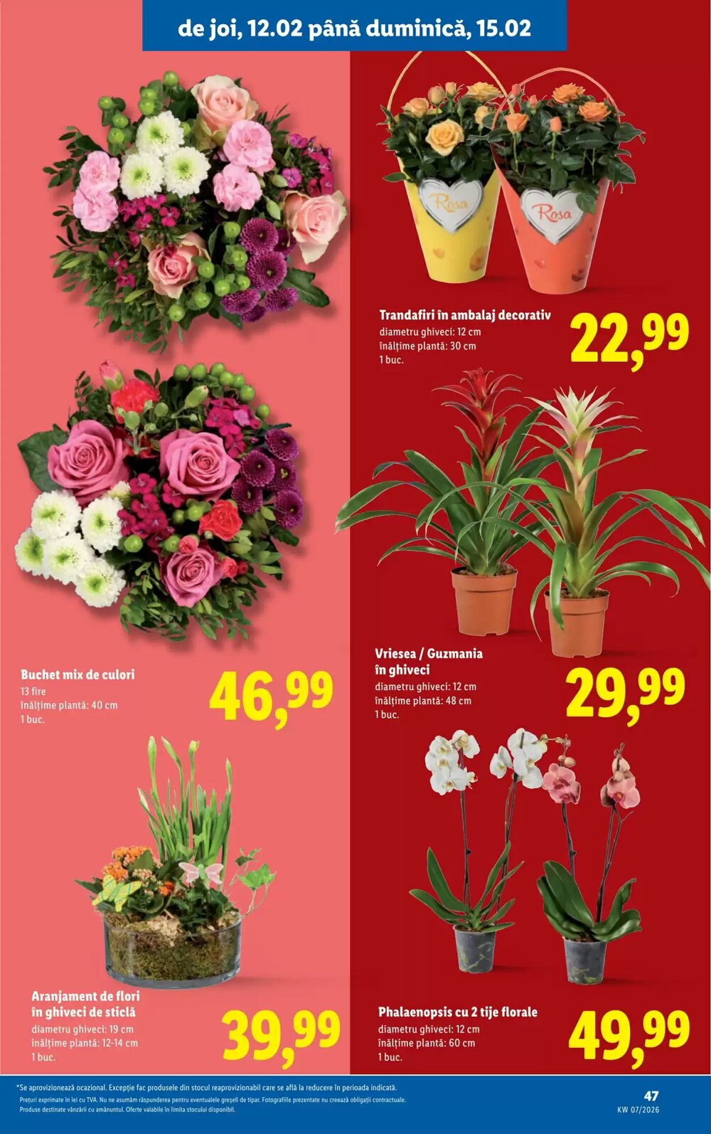 Catalogul cu oferte Lidl valabil de la 09.02.2026 - Pagina 47.