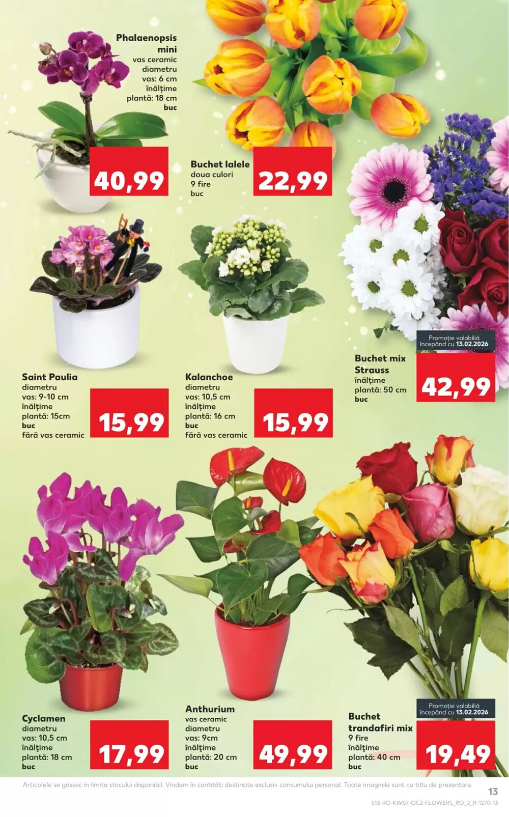 Catalogul cu oferte Kaufland valabil de la 11.02.2026 - Pagina 13.