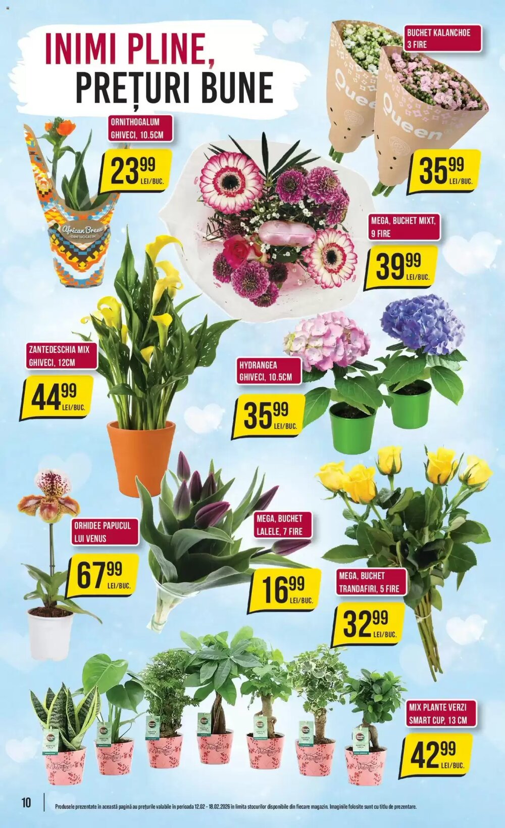 Catalogul cu oferte Mega Image valabil de la 11.02.2026 - Pagina 10.