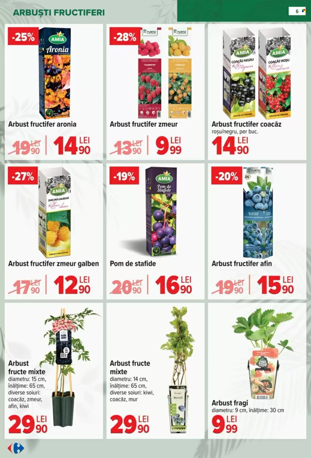 Catalogul cu oferte Carrefour valabil de la 11.02.2026 - Pagina 6.