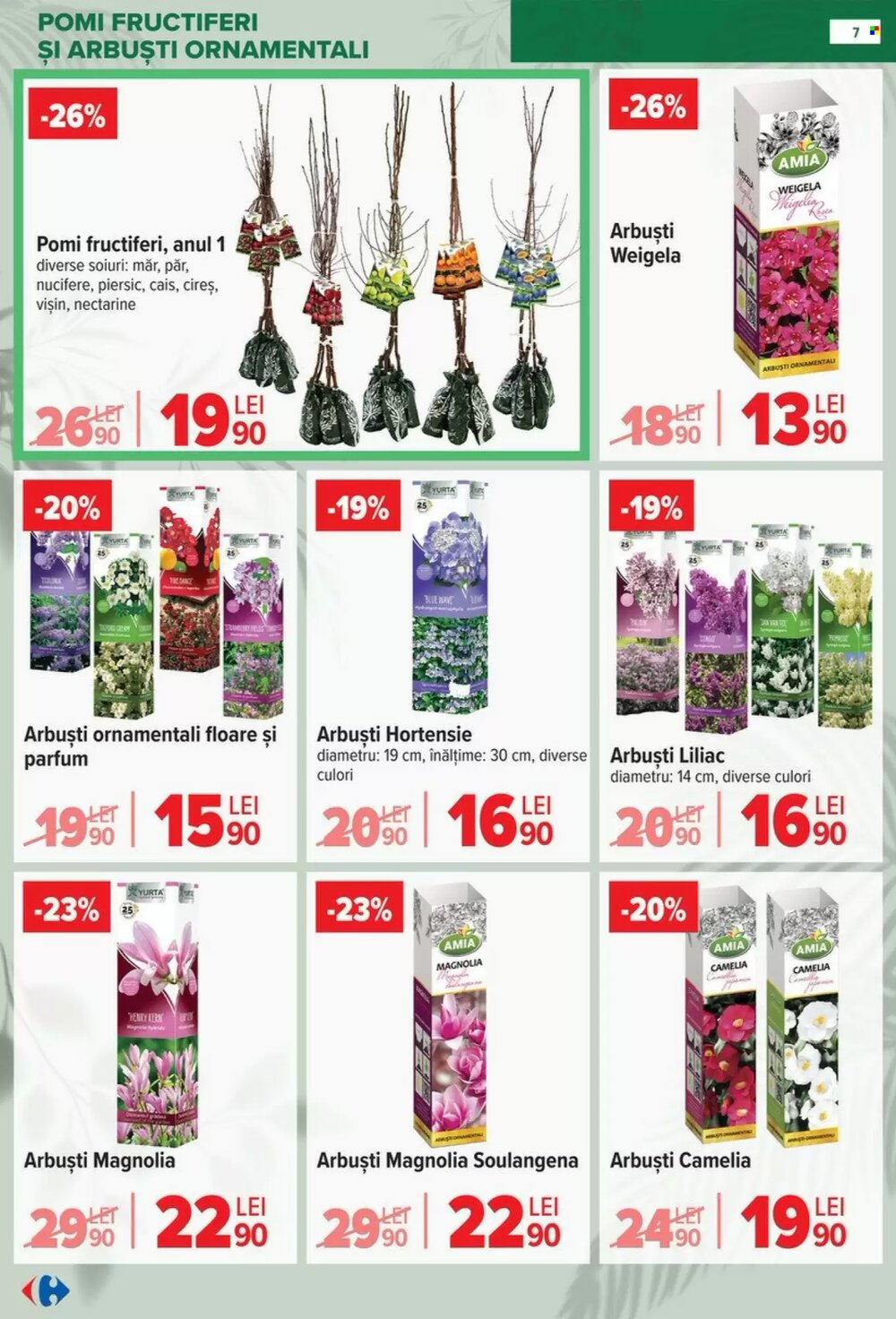 Catalogul cu oferte Carrefour valabil de la 11.02.2026 - Pagina 7.
