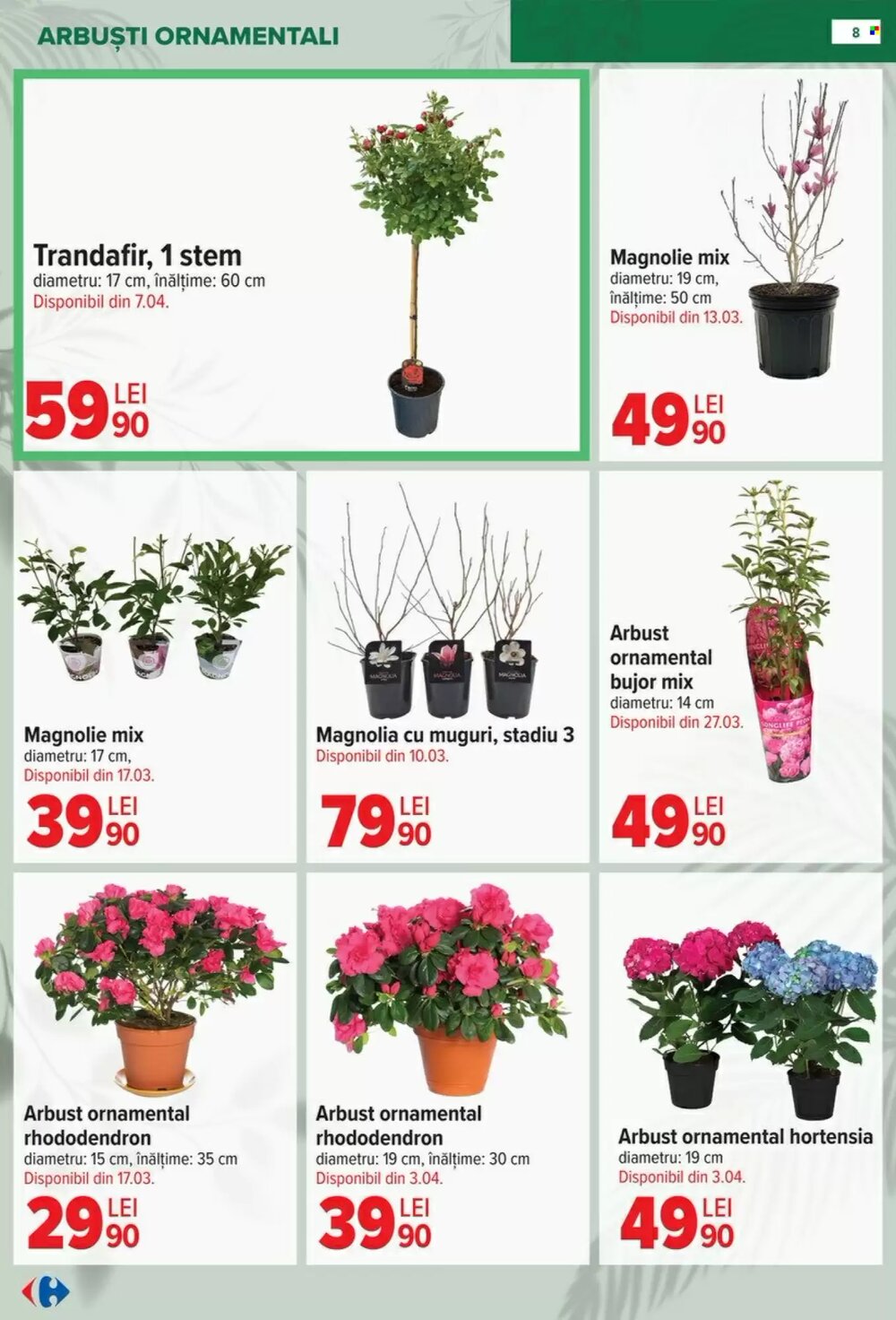 Catalogul cu oferte Carrefour valabil de la 11.02.2026 - Pagina 8.