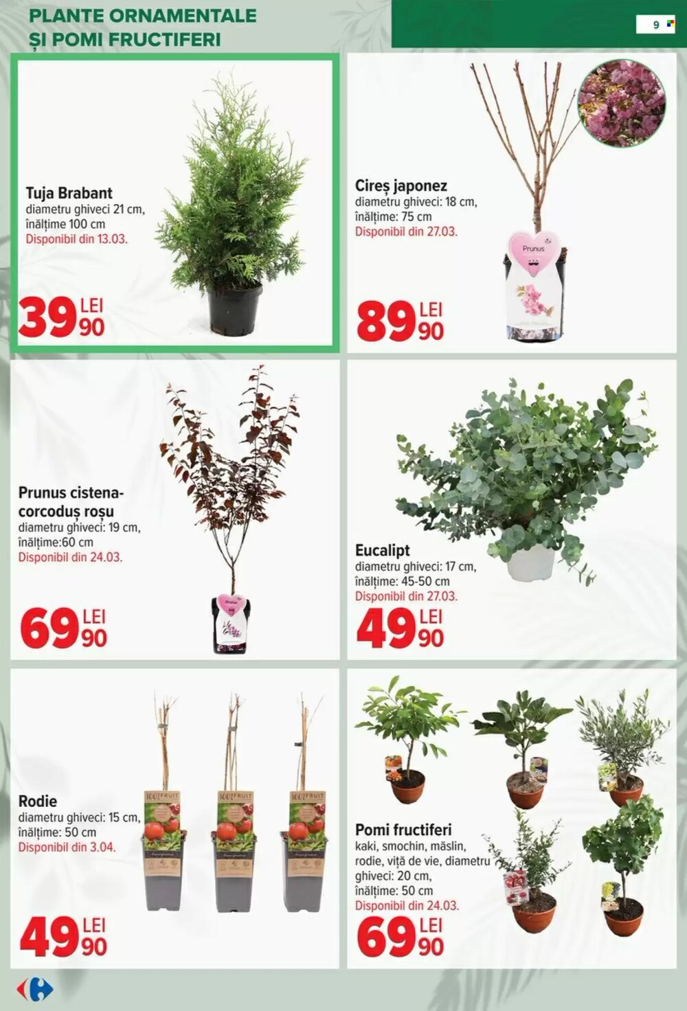 Catalogul cu oferte Carrefour valabil de la 11.02.2026 - Pagina 9.