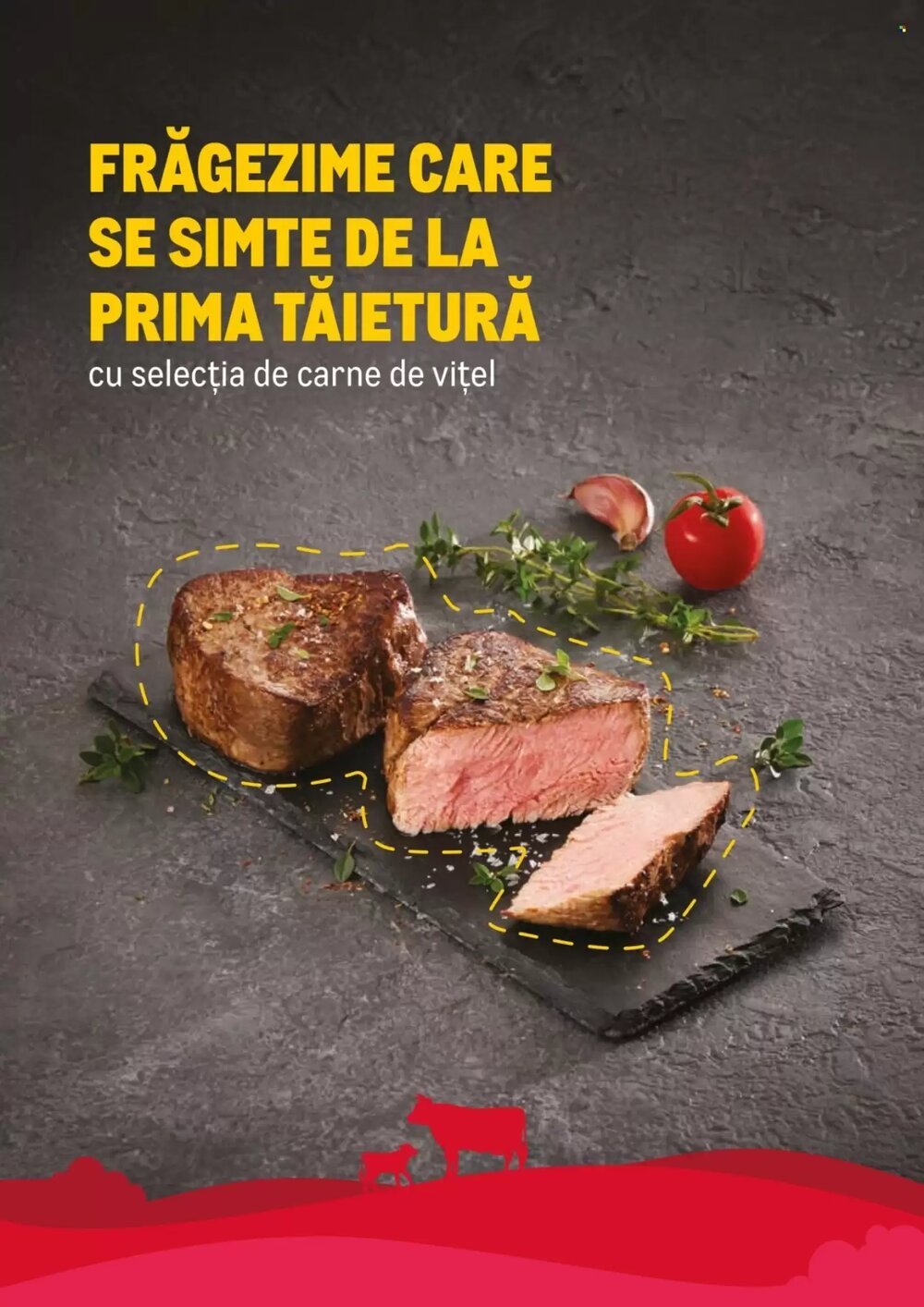 Catalogul cu oferte Metro valabil de la 23.02.2026 - Pagina 10.