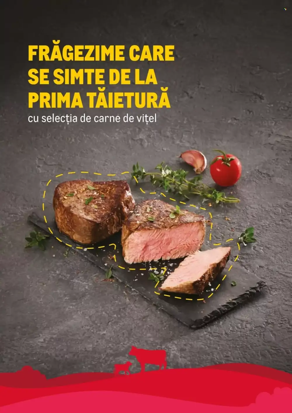 Catalogul cu oferte Metro valabil de la 23.02.2026 - Pagina 10.