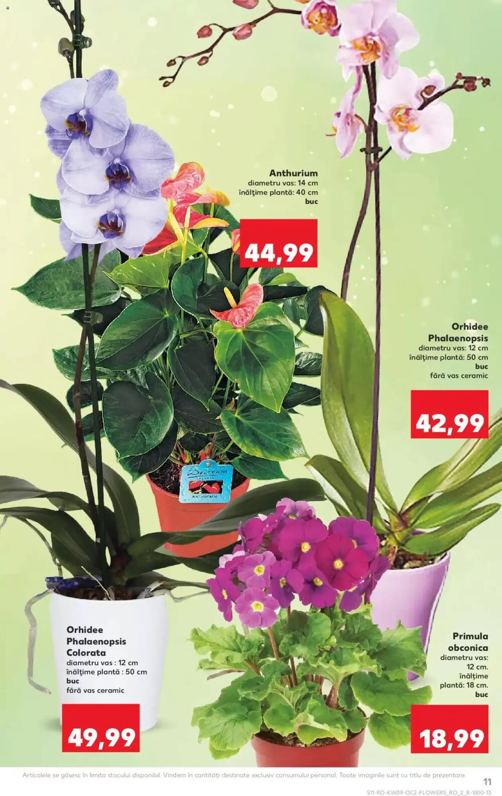 Catalogul cu oferte Kaufland valabil de la 25.02.2026 - Pagina 11.