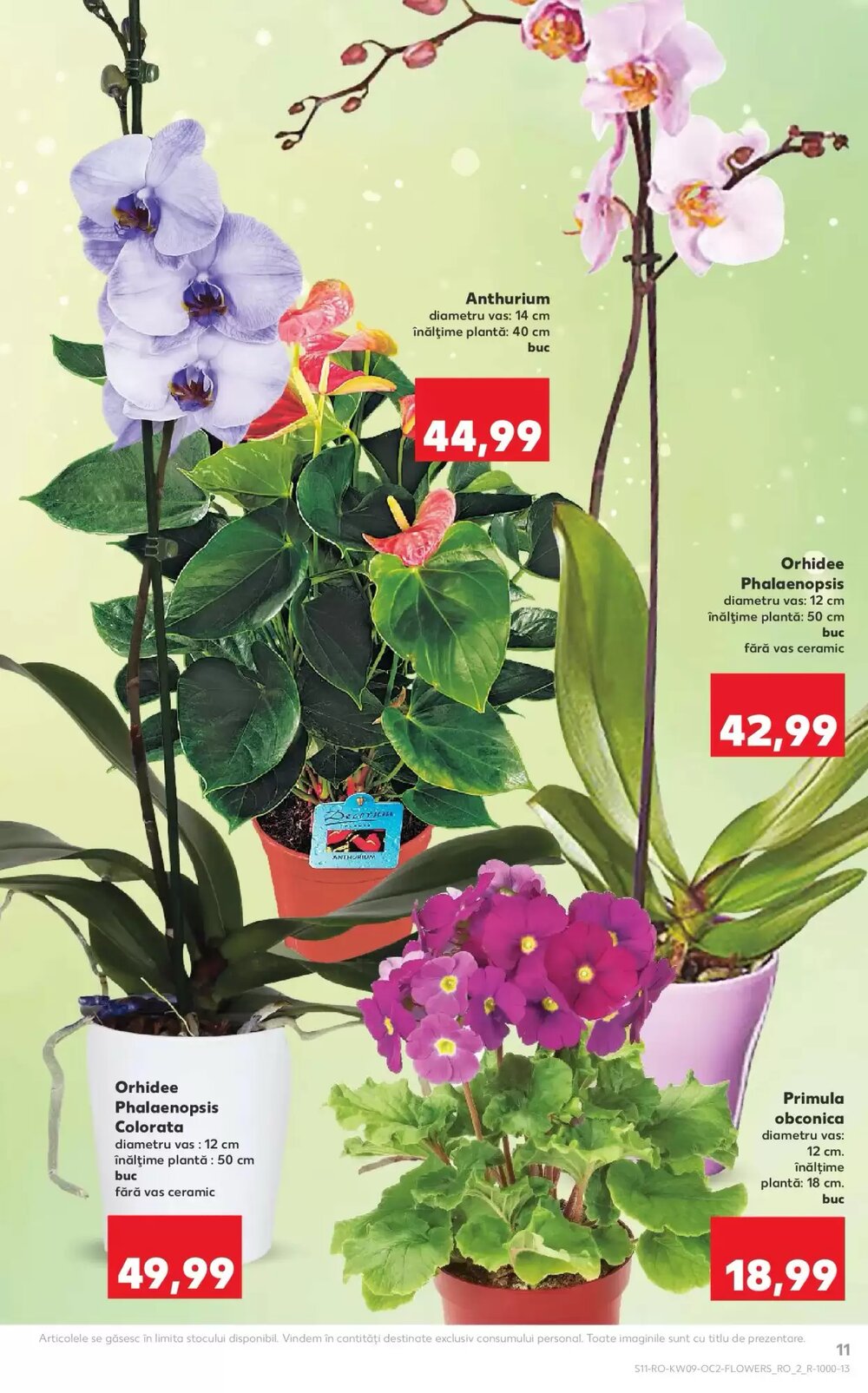Catalogul cu oferte Kaufland valabil de la 25.02.2026 - Pagina 11.