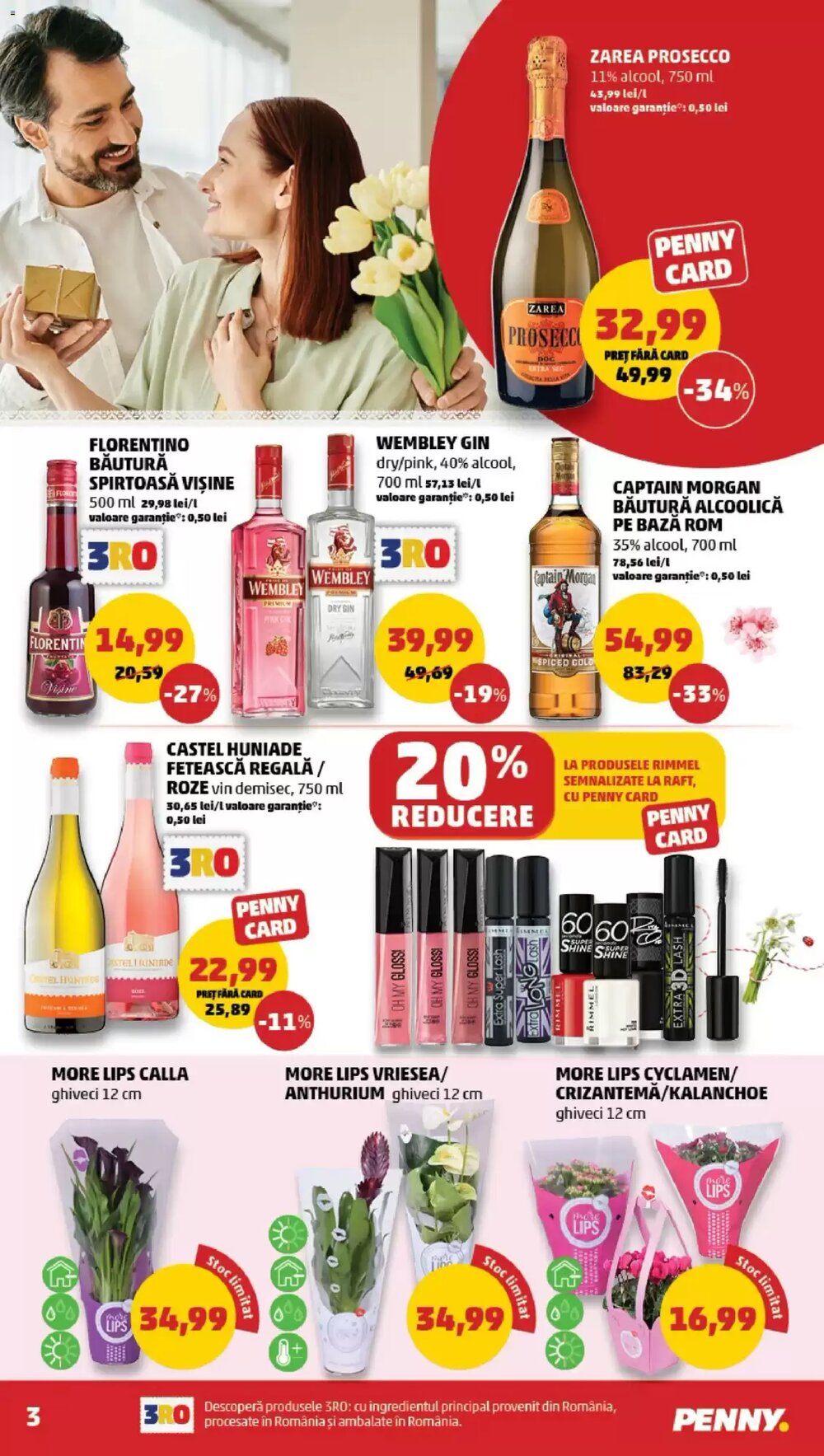 Catalogul cu oferte Penny valabil de la 25.02.2026 - Pagina 3.