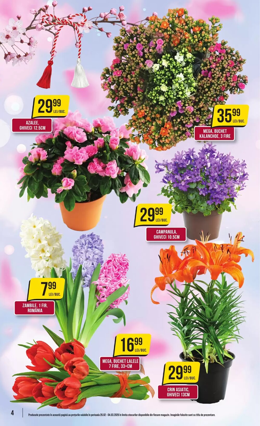 Catalogul cu oferte Mega Image valabil de la 26.02.2026 - Pagina 4.