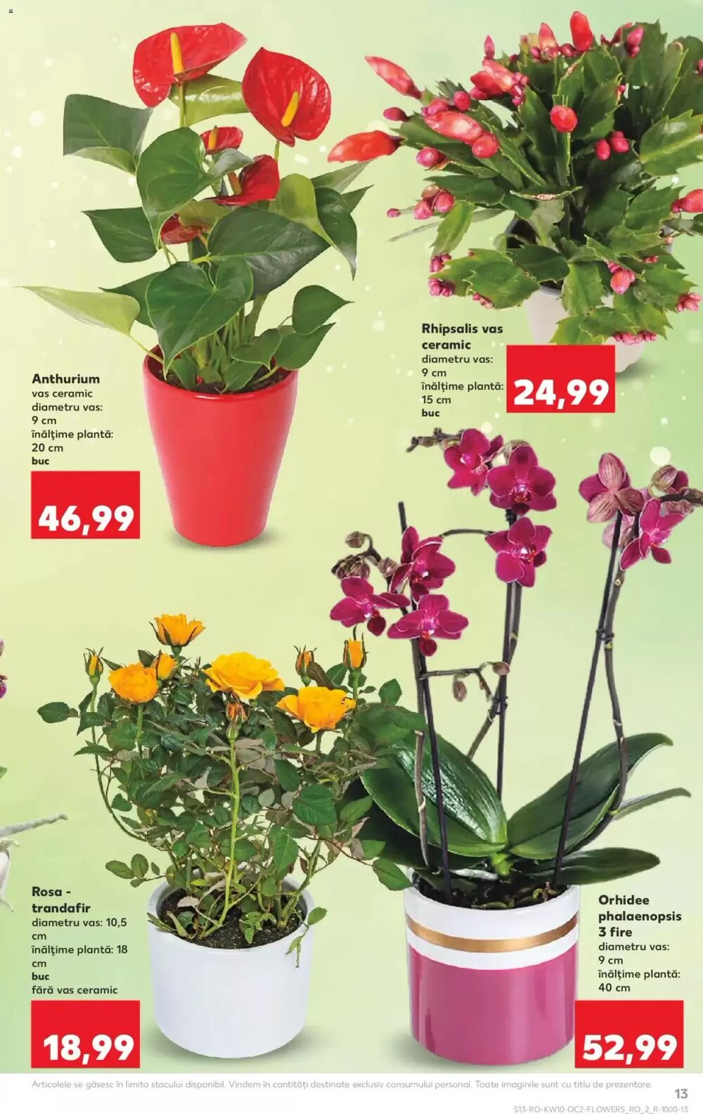 Catalogul cu oferte Kaufland valabil de la 03.03.2026 - Pagina 13.