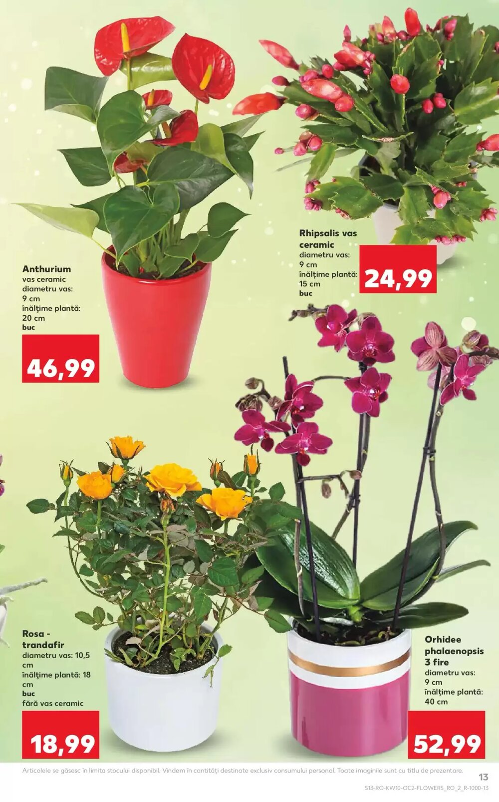Catalogul cu oferte Kaufland valabil de la 04.03.2026 - Pagina 13.
