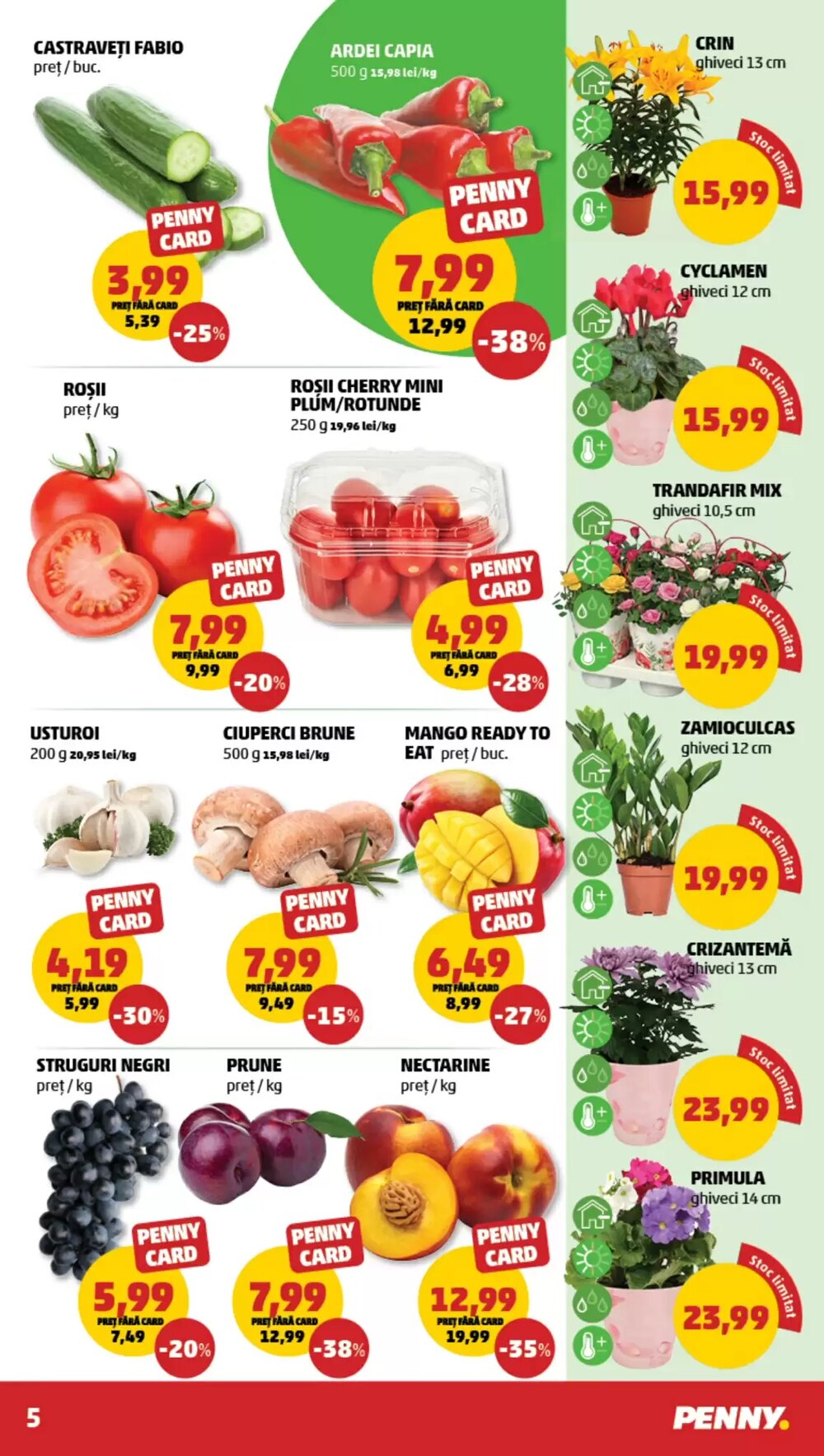 Catalogul cu oferte Penny valabil de la 04.03.2026 - Pagina 5.