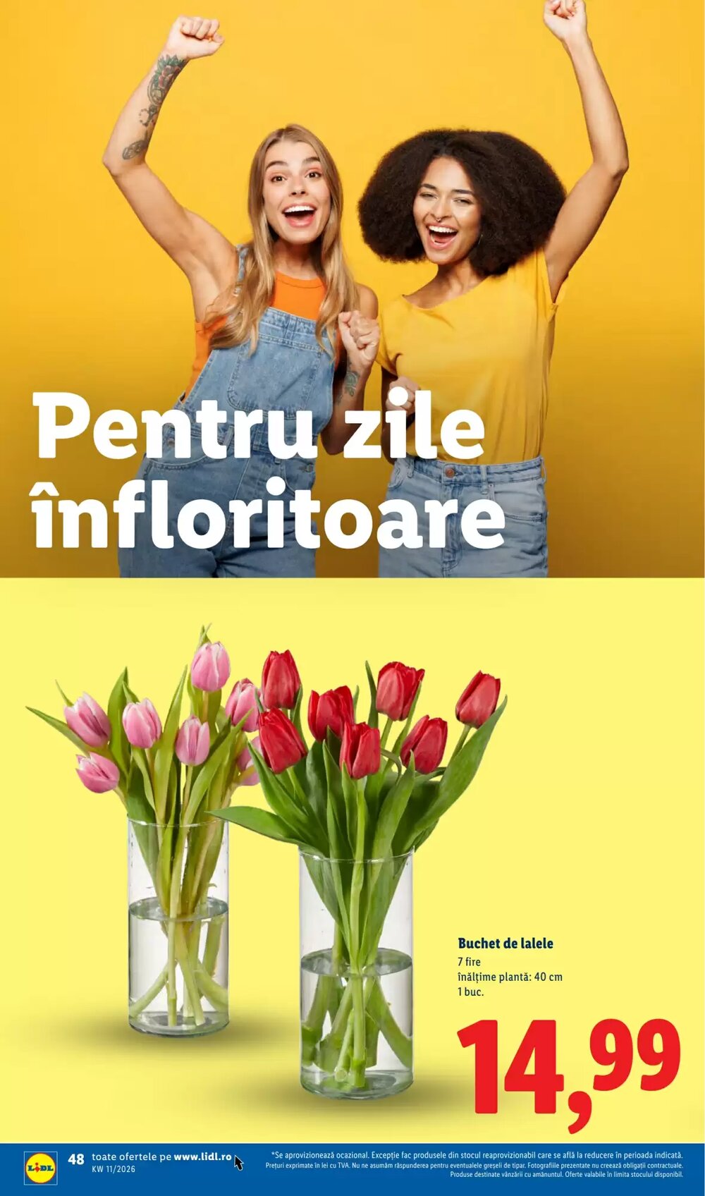 Catalogul cu oferte Lidl valabil de la 09.03.2026 - Pagina 48.