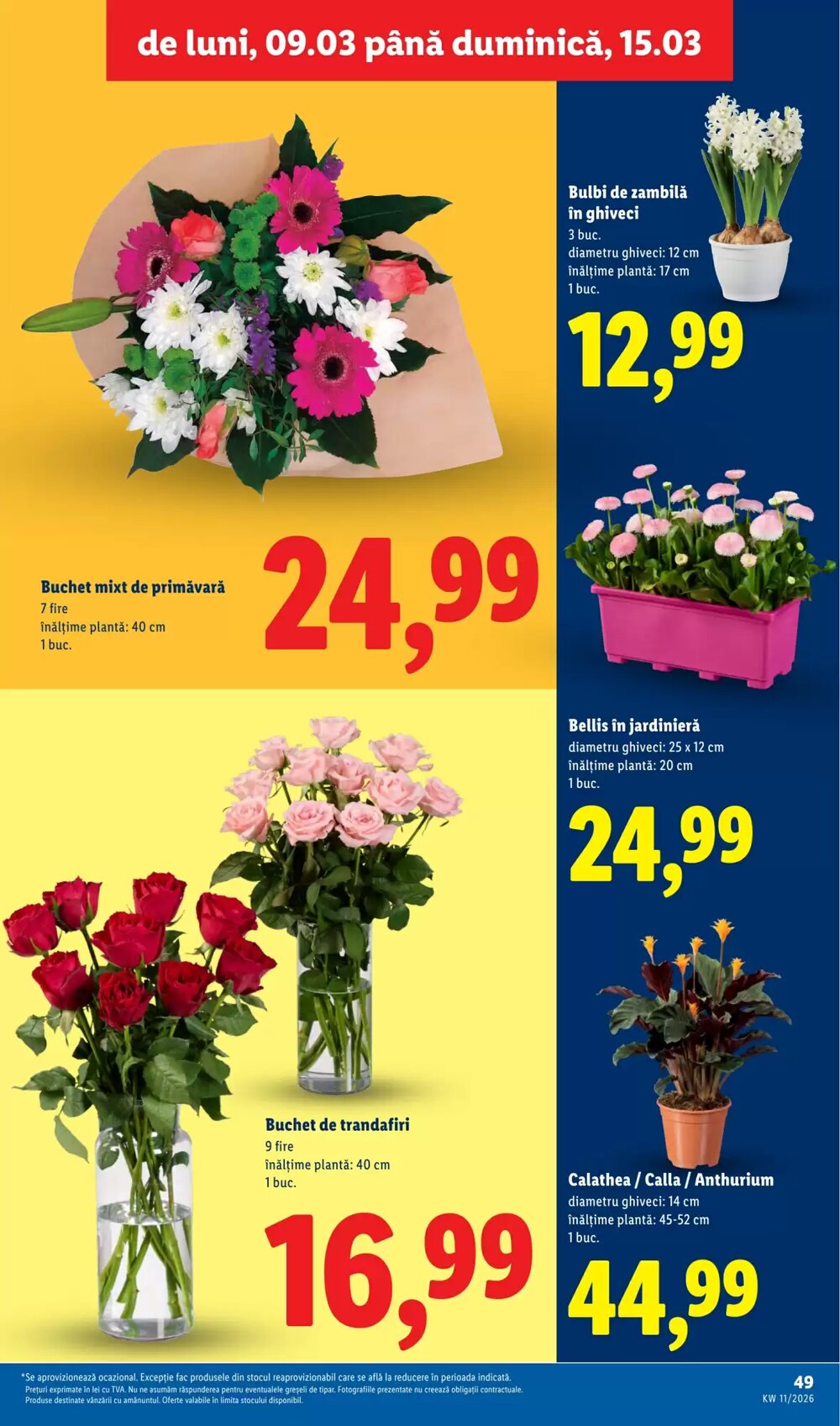 Catalogul cu oferte Lidl valabil de la 09.03.2026 - Pagina 49.