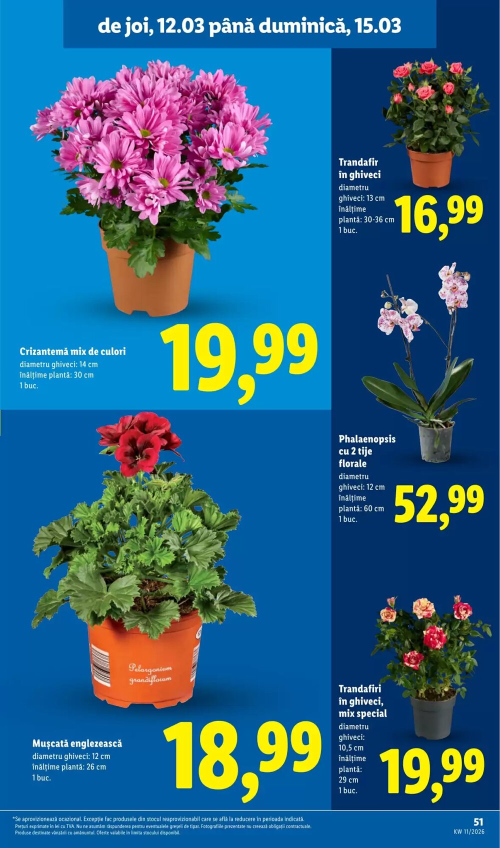 Catalogul cu oferte Lidl valabil de la 09.03.2026 - Pagina 51.