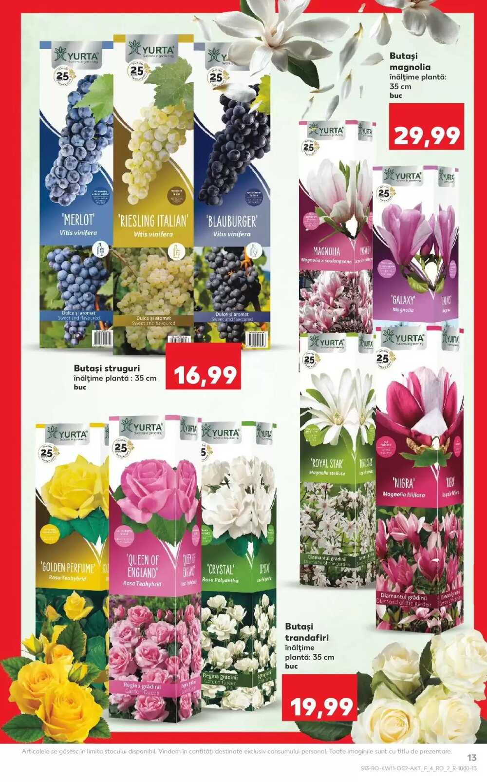 Catalogul cu oferte Kaufland valabil de la 11.03.2026 - Pagina 13.