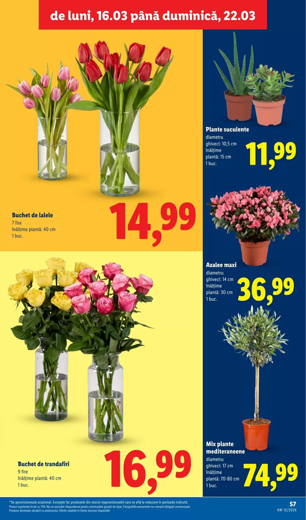 Catalogul cu oferte Lidl valabil de la 16.03.2026 - Pagina 57.