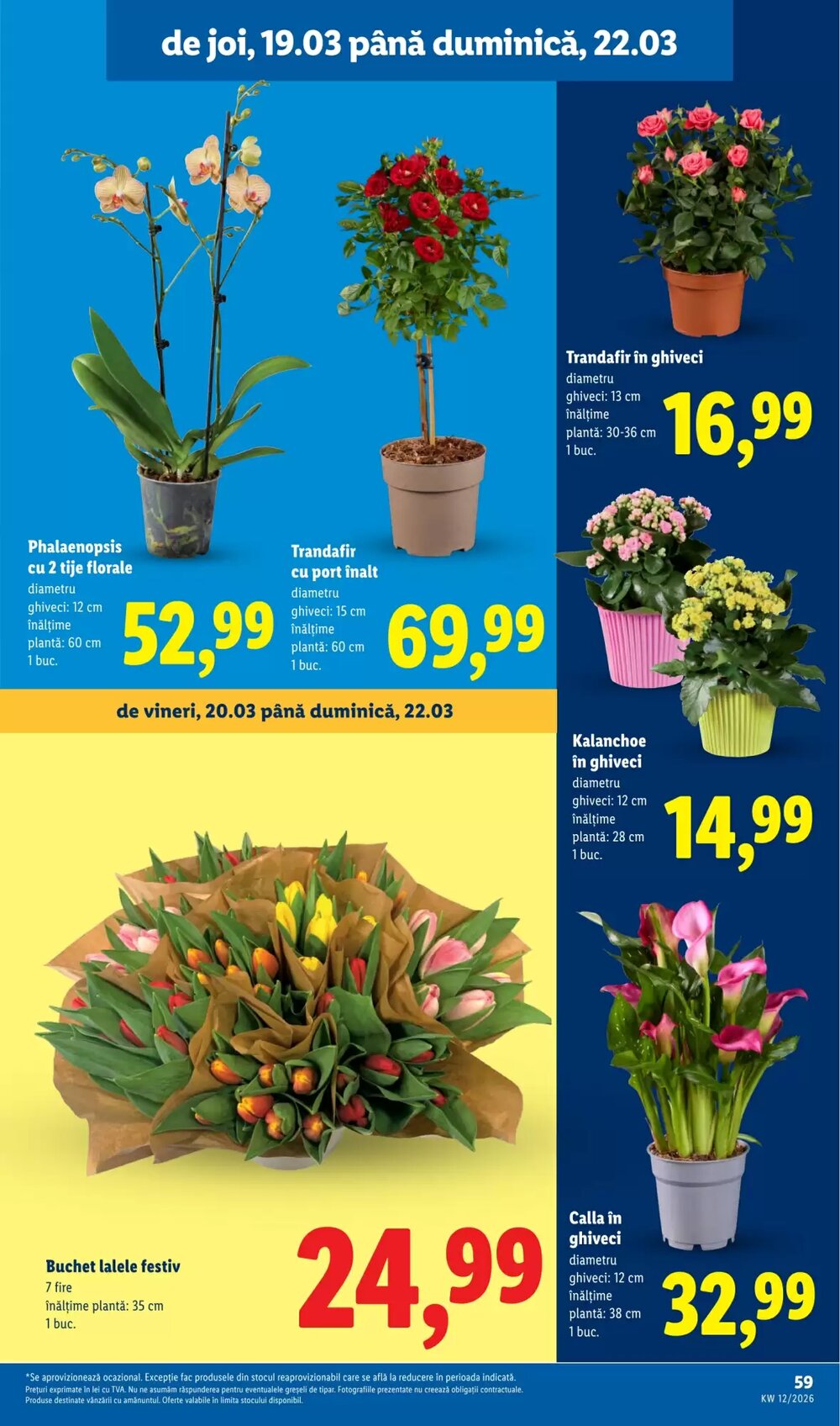 Catalogul cu oferte Lidl valabil de la 16.03.2026 - Pagina 59.