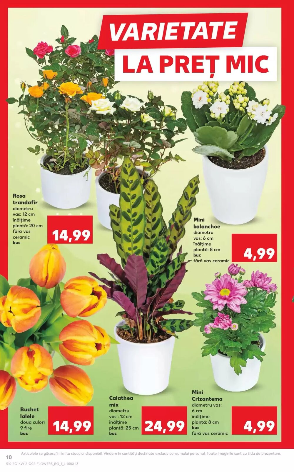 Catalogul cu oferte Kaufland valabil de la 18.03.2026 - Pagina 10.