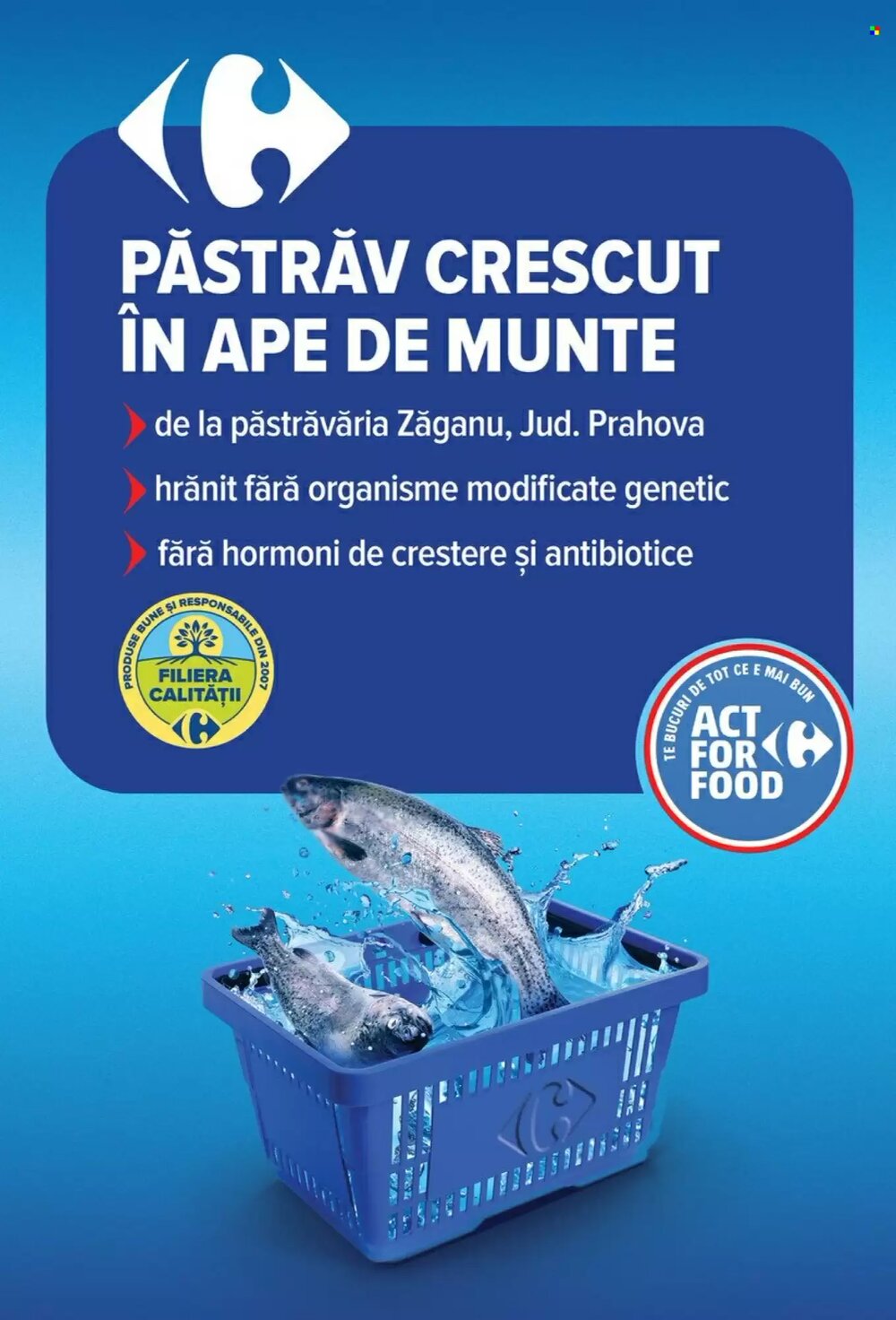 Catalogul cu oferte Carrefour valabil de la 18.03.2026 - Pagina 13.