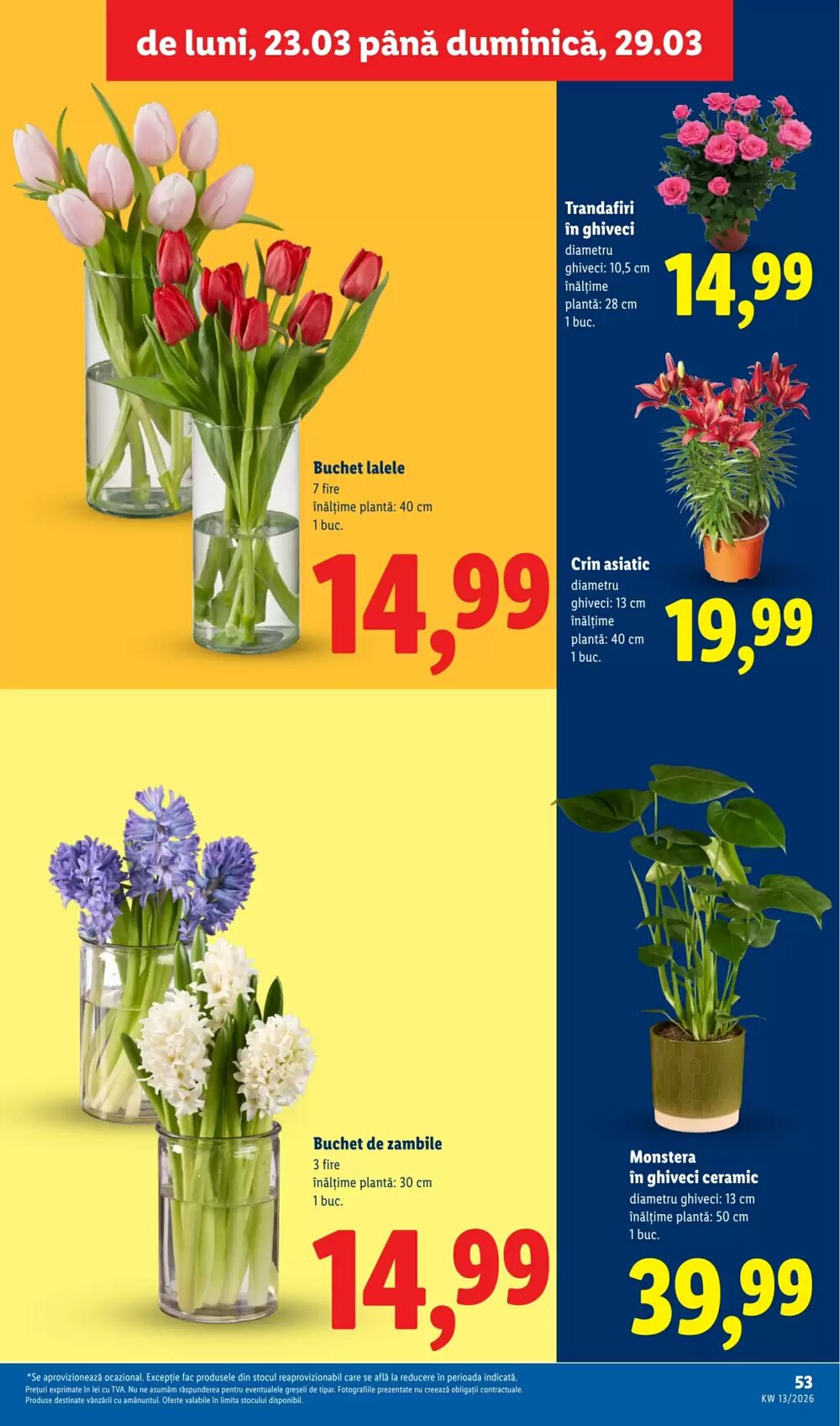 Catalogul cu oferte Lidl valabil de la 23.03.2026 - Pagina 53.
