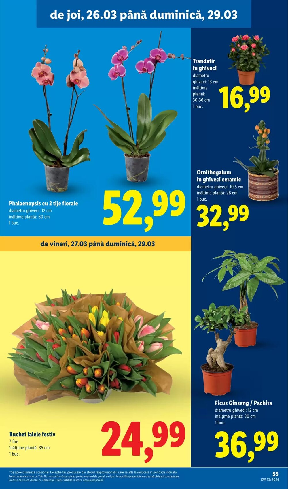 Catalogul cu oferte Lidl valabil de la 23.03.2026 - Pagina 55.