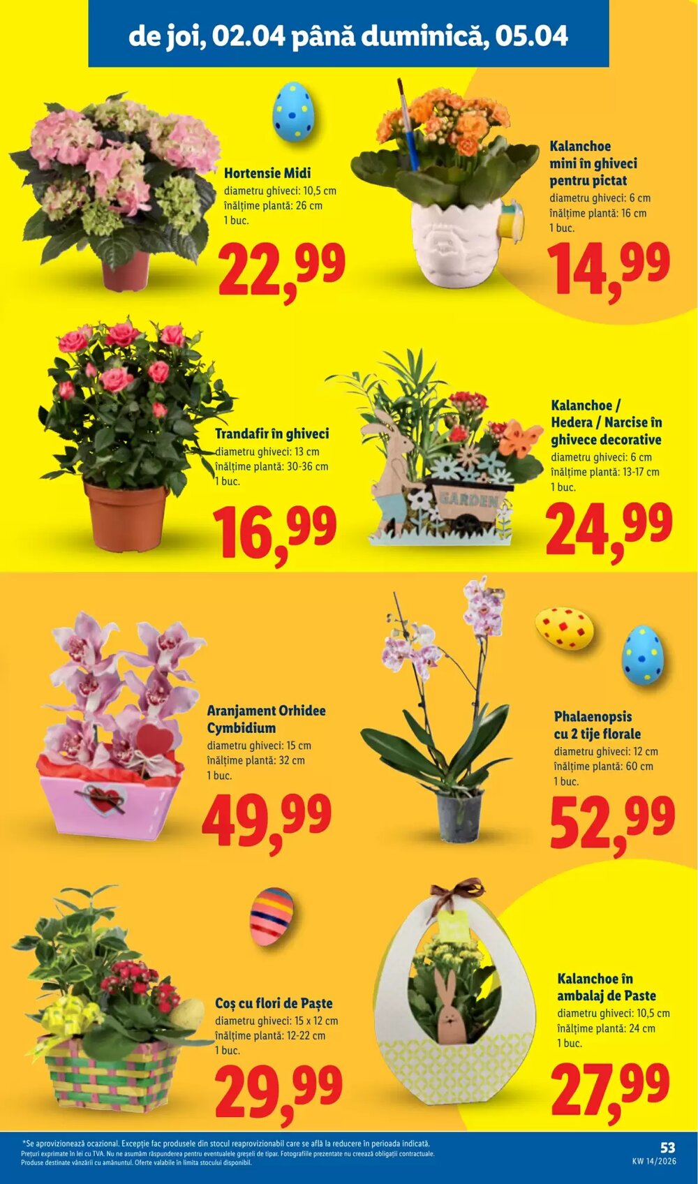 Catalogul cu oferte Lidl valabil de la 30.03.2026 - Pagina 53.