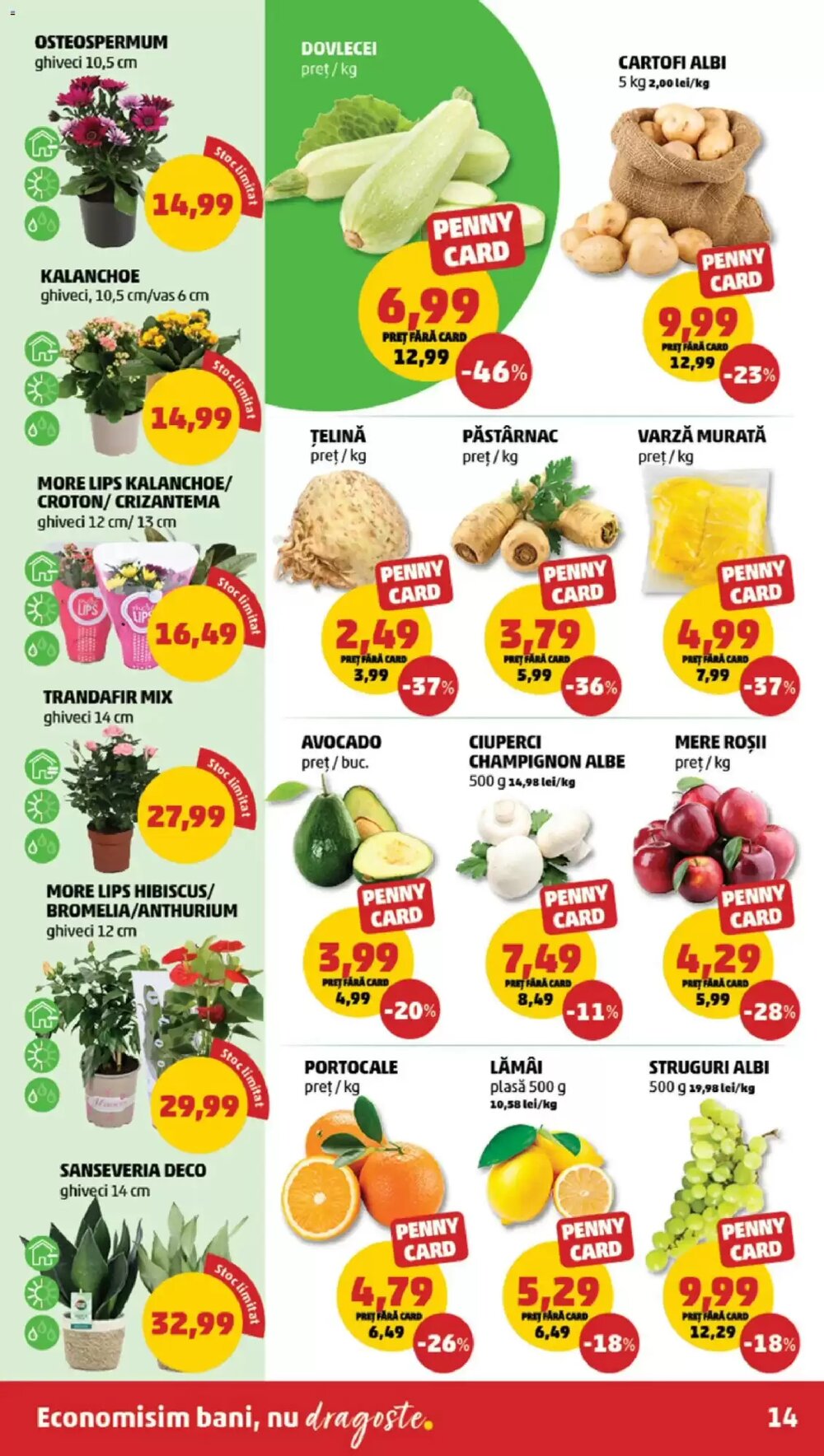 Catalogul cu oferte Penny valabil de la 31.03.2026 - Pagina 14.
