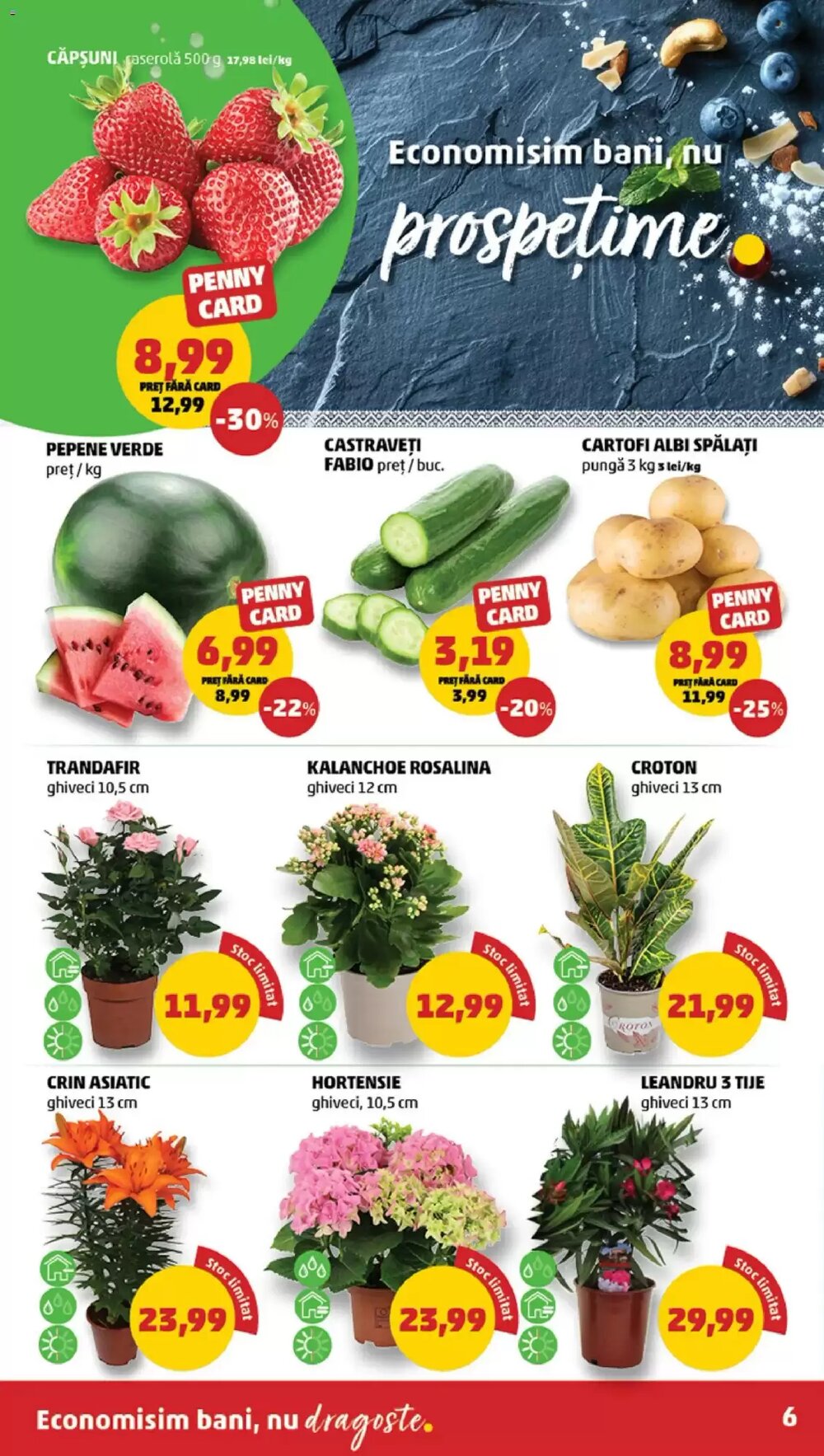Catalogul cu oferte Penny valabil de la 08.04.2026 - Pagina 6.