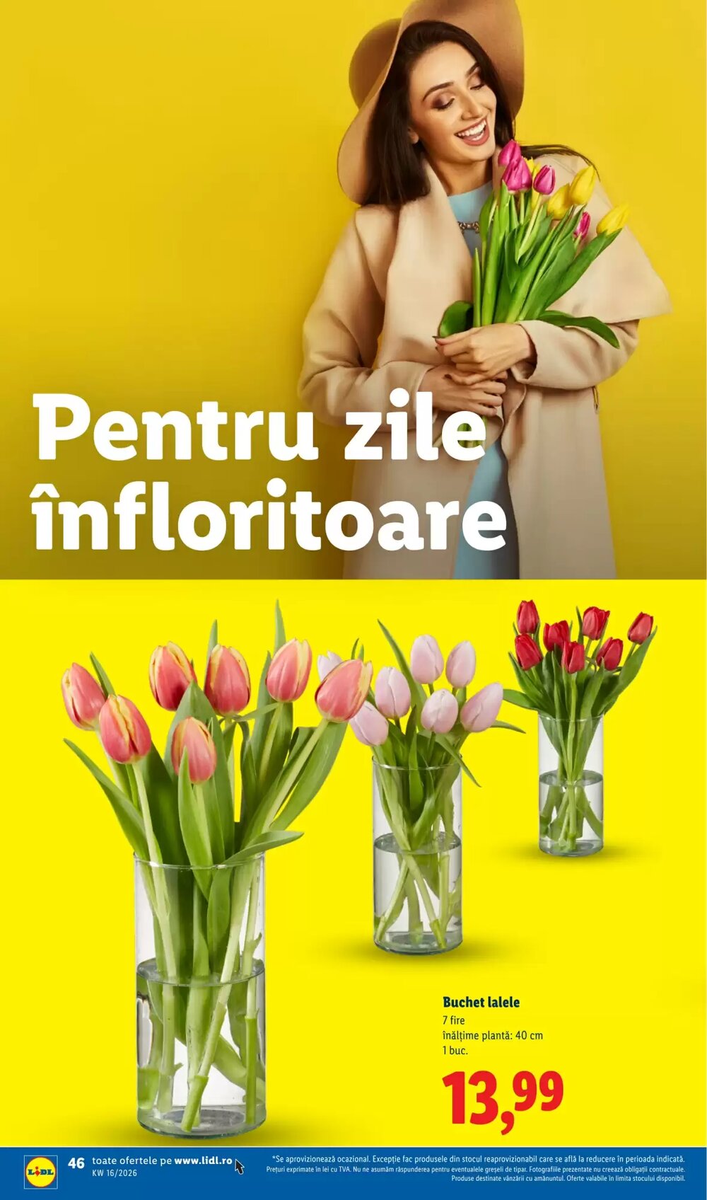 Catalogul cu oferte Lidl valabil de la 14.04.2026 - Pagina 46.