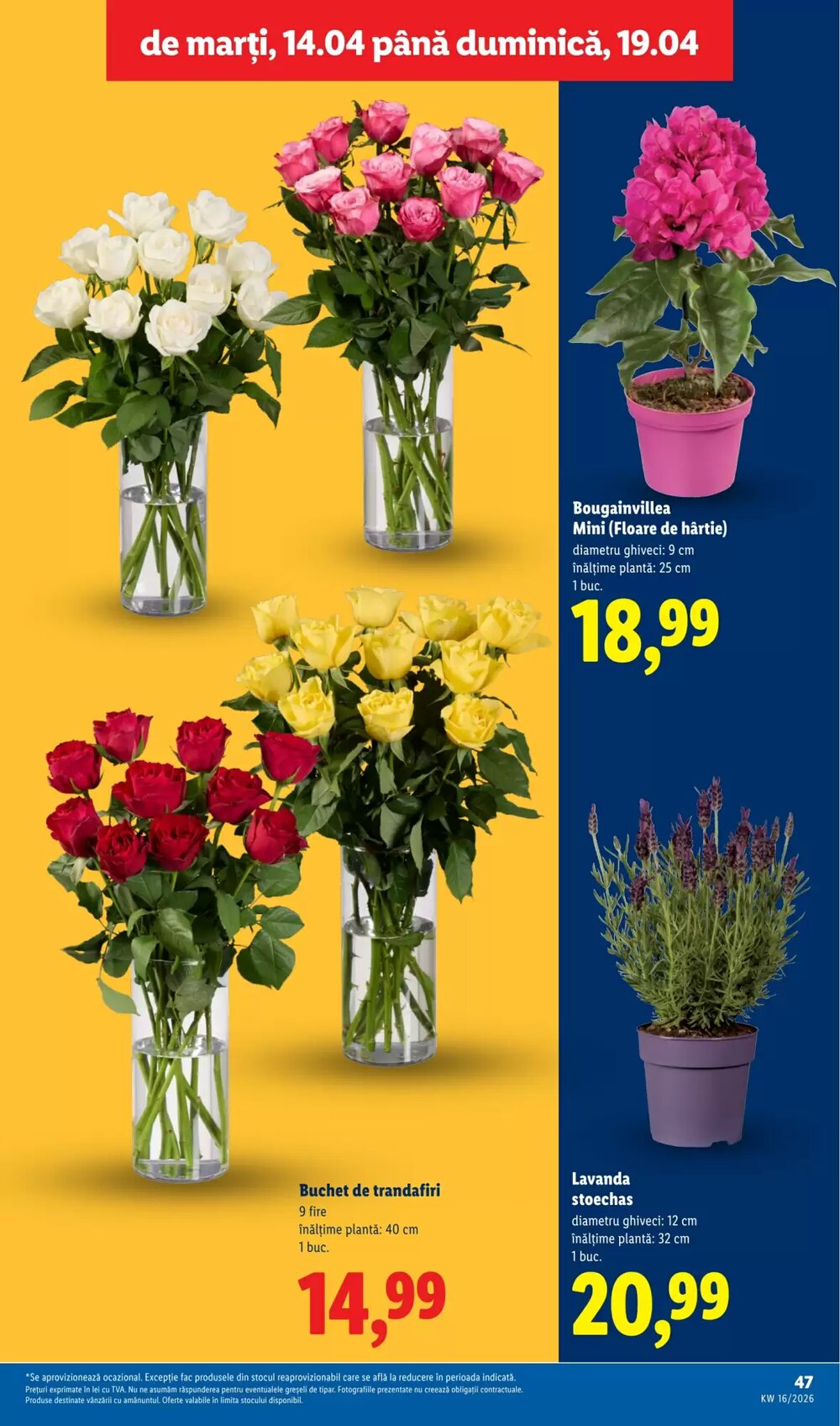 Catalogul cu oferte Lidl valabil de la 14.04.2026 - Pagina 47.