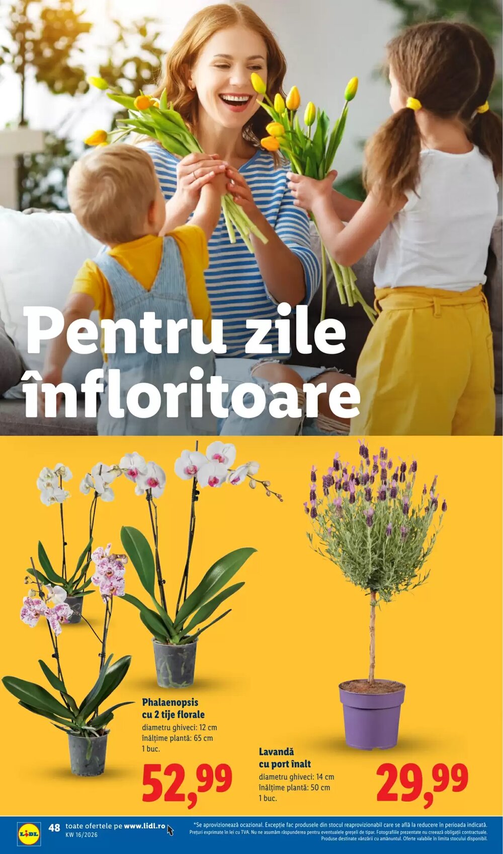 Catalogul cu oferte Lidl valabil de la 14.04.2026 - Pagina 48.