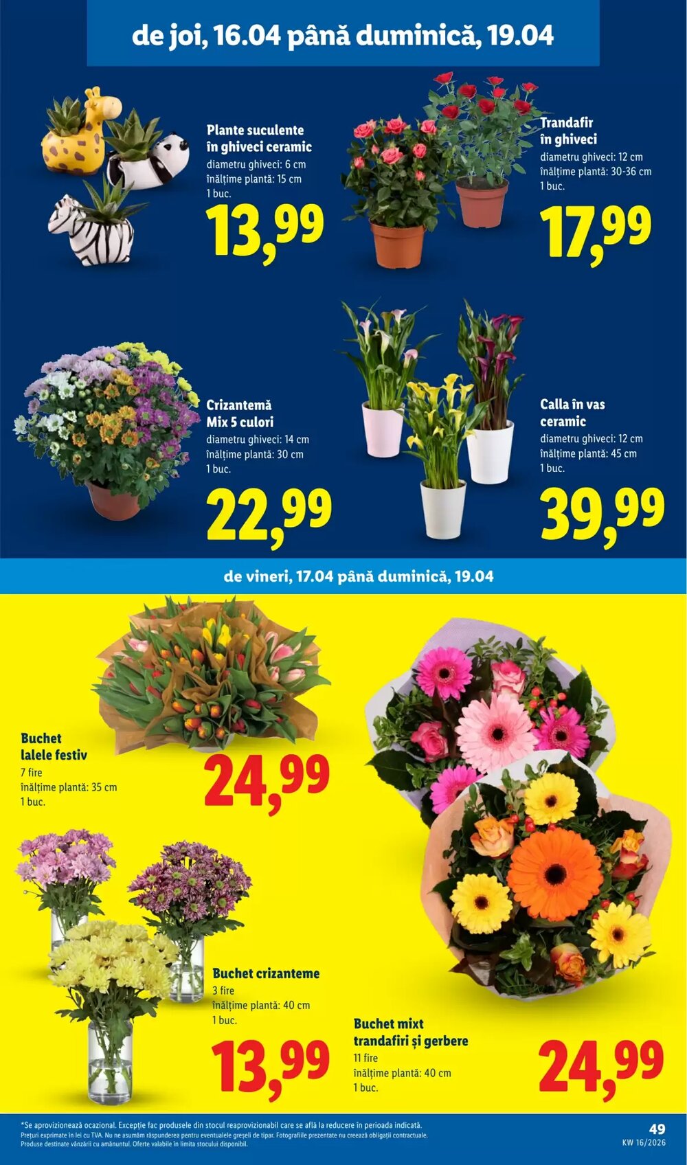 Catalogul cu oferte Lidl valabil de la 14.04.2026 - Pagina 49.