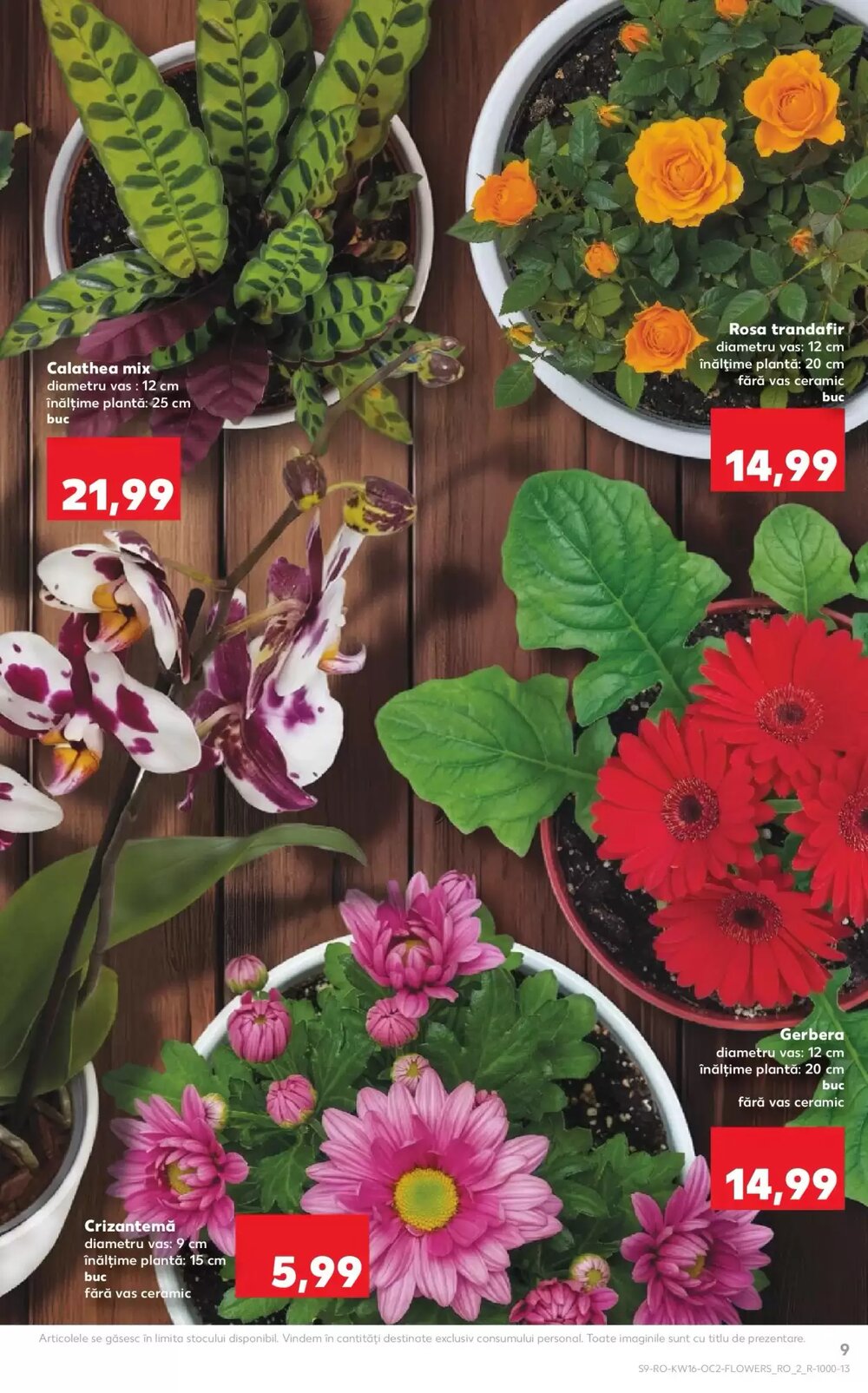Catalogul cu oferte Kaufland valabil de la 15.04.2026 - Pagina 9.