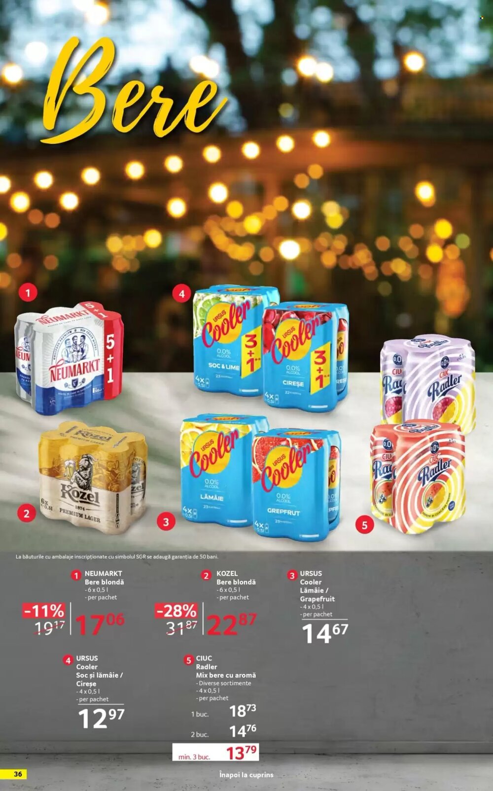 Catalogul cu oferte Selgros valabil de la 17.04.2026 - Pagina 36.