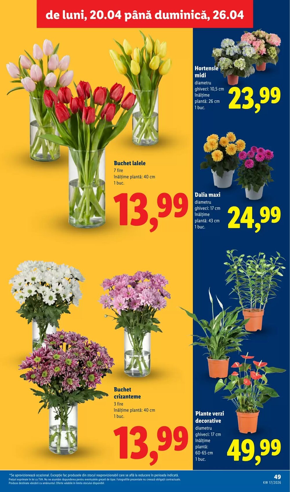 Catalogul cu oferte Lidl valabil de la 20.04.2026 - Pagina 49.